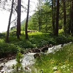 Aquila Livigno